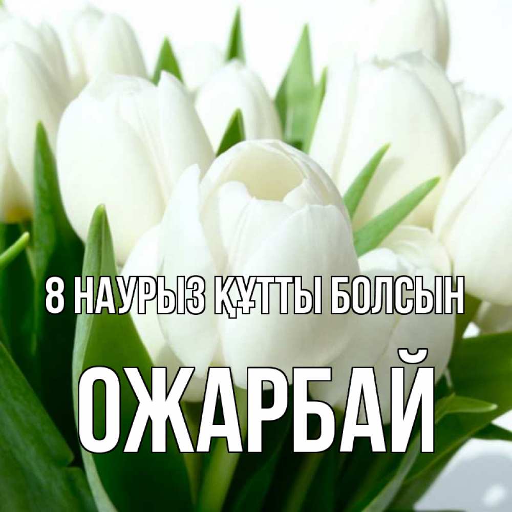 Күн сайын ашық хат с именем, ОЖАРБАЙ 8 наурыз құтты болсын цветы Онлайн тегін жүктеп алу тілектері бар керемет карта 