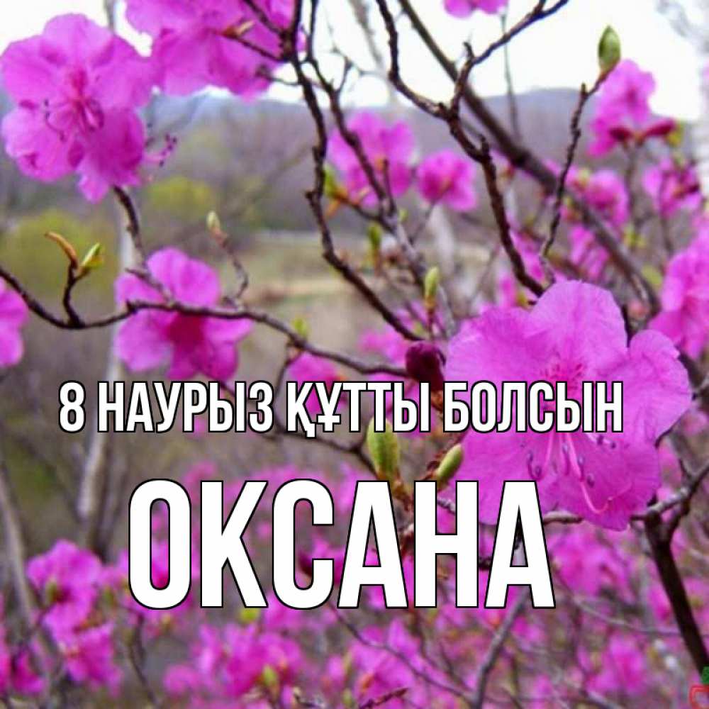 Күн сайын ашық хат с именем, Оксана 8 наурыз құтты болсын международный женский день Онлайн тегін жүктеп алу тілектері бар керемет карта 