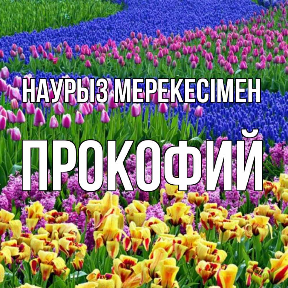 Күн сайын ашық хат с именем, Прокофий Наурыз мерекесімен цветы Онлайн тегін жүктеп алу тілектері бар керемет карта 