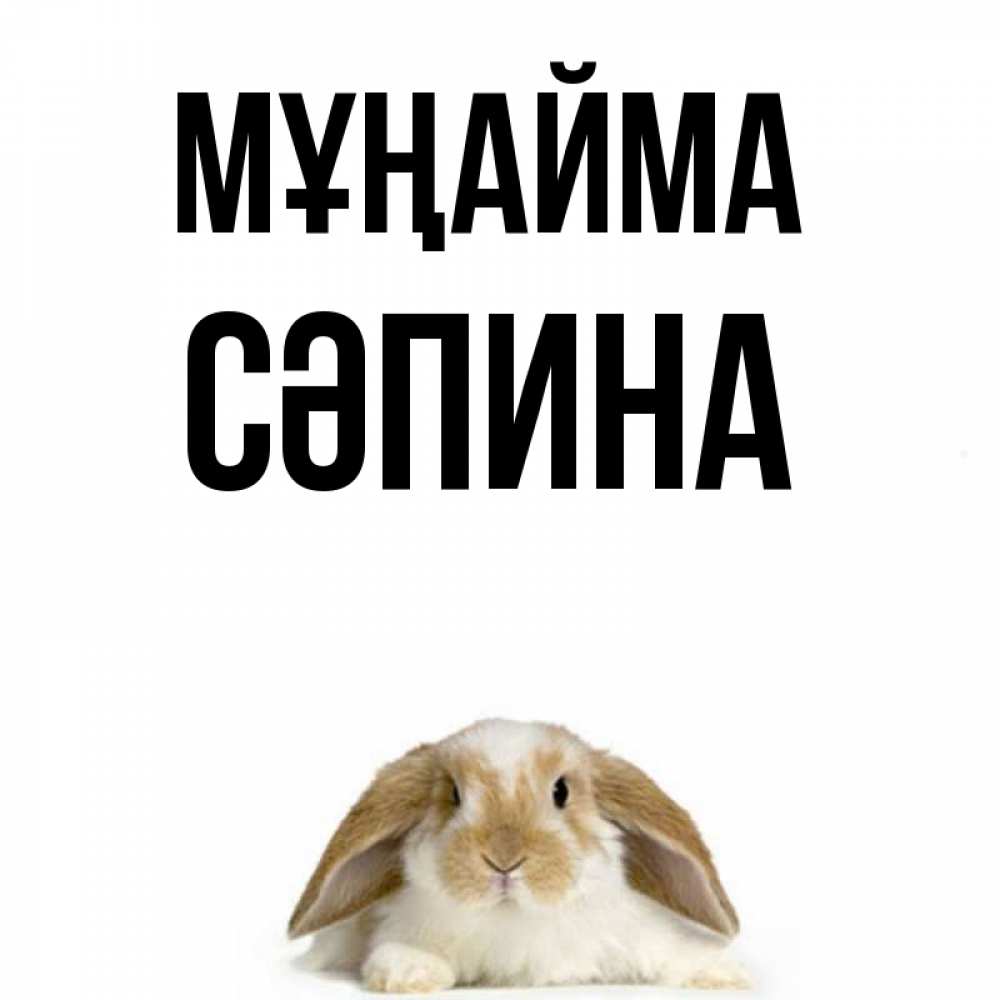 Күн сайын ашық хат с именем, СӘПИНА Мұңайма коричнево белый заяц с большими ушками Онлайн тегін жүктеп алу тілектері бар керемет карта 