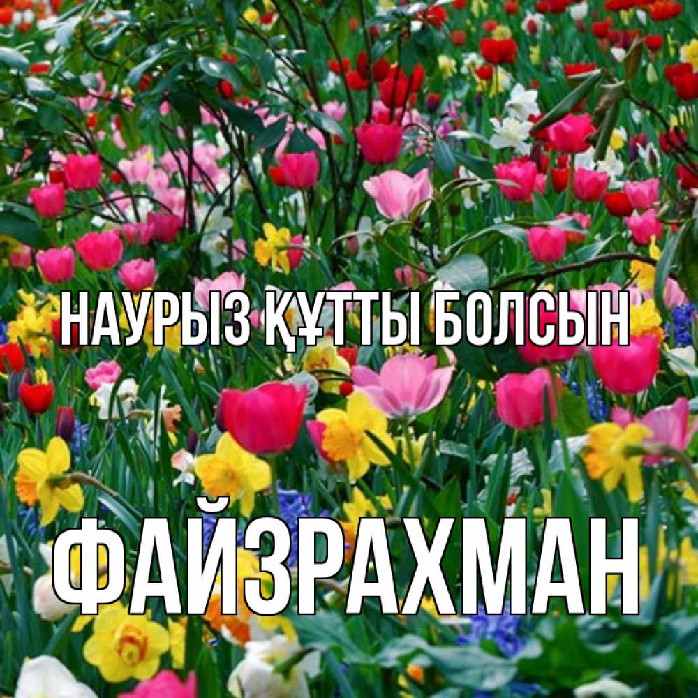 Күн сайын ашық хат с именем, ФАЙЗРАХМАН Наурыз құтты болсын с наурызом поздравления для женщины Онлайн тегін жүктеп алу тілектері бар керемет карта 