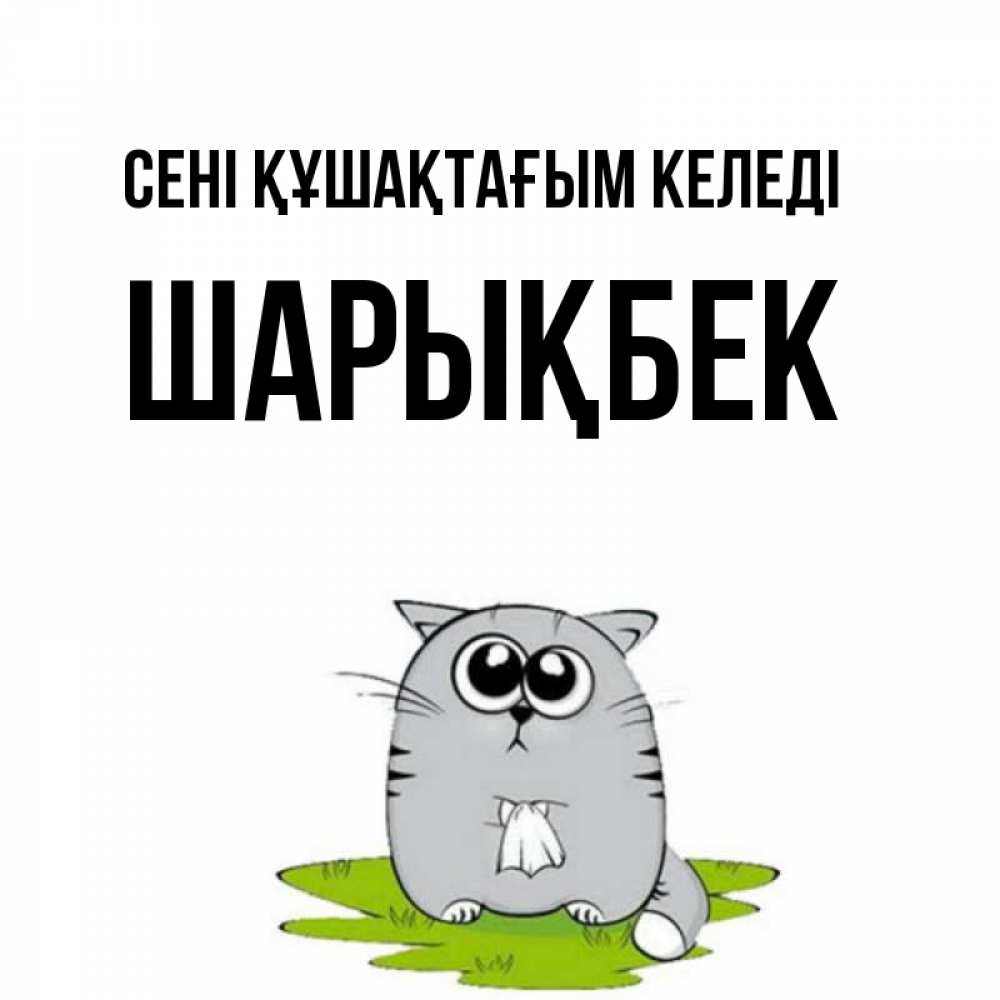Күн сайын ашық хат с именем, ШАРЫҚБЕК сені құшақтағым келеді котик теребит платочек сидя на травке Онлайн тегін жүктеп алу тілектері бар керемет карта 