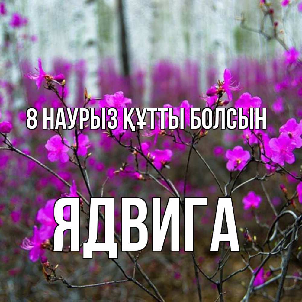 Күн сайын ашық хат с именем, Ядвига 8 наурыз құтты болсын дикие цветы Онлайн тегін жүктеп алу тілектері бар керемет карта 