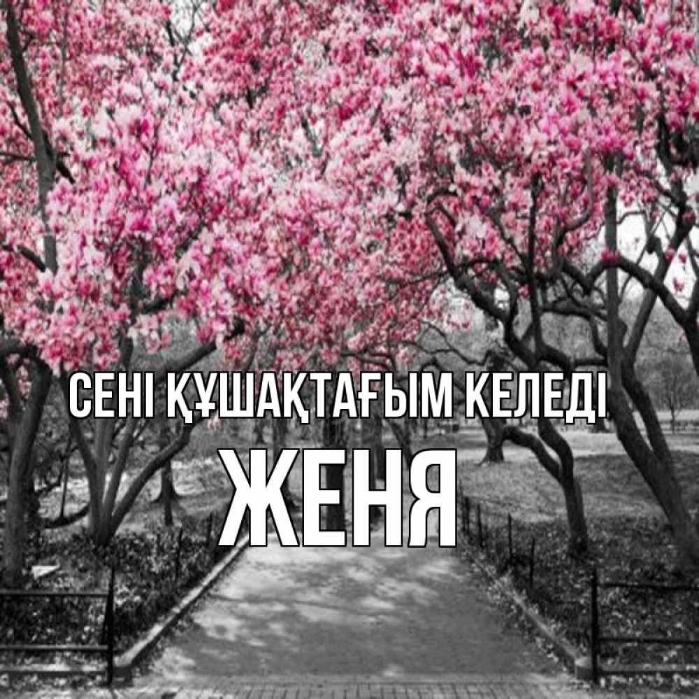 Күн сайын ашық хат с именем, Женя сені құшақтағым келеді обработанное фото Онлайн тегін жүктеп алу тілектері бар керемет карта 