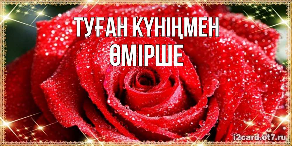 Күн сайын ашық хат с именем, ӨМІРШЕ Туған күніңмен роса и роза. открытка с красивой розой Онлайн тегін жүктеп алу тілектері бар керемет карта 