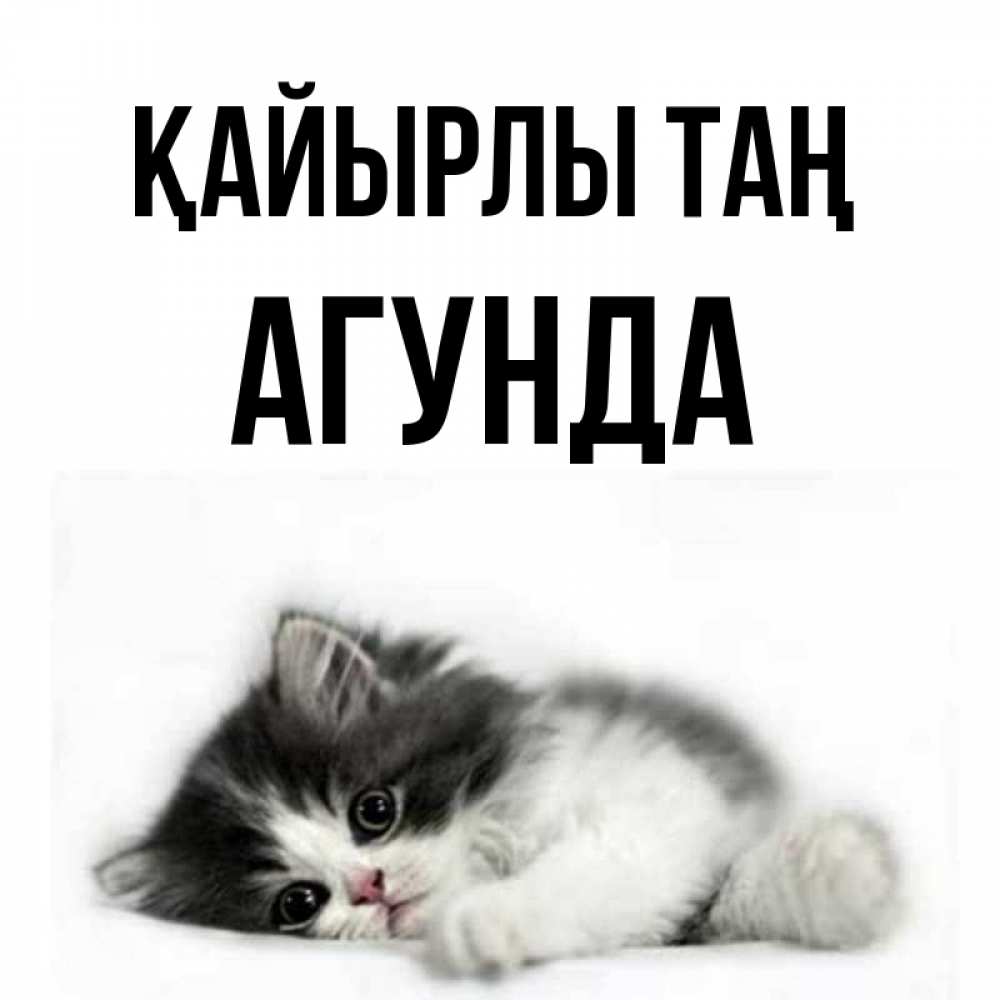 Күн сайын ашық хат с именем, Агунда Қайырлы таң кот лапки Онлайн тегін жүктеп алу тілектері бар керемет карта 