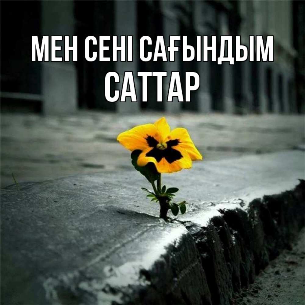 Күн сайын ашық хат с именем, САТТАР Мен сені сағындым надеюсь будет лучше Онлайн тегін жүктеп алу тілектері бар керемет карта 