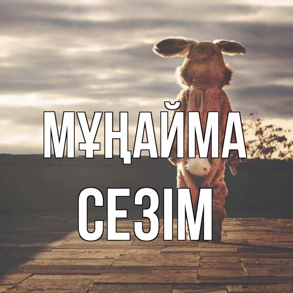 Күн сайын ашық хат с именем, СЕЗІМ Мұңайма со спины Онлайн тегін жүктеп алу тілектері бар керемет карта 