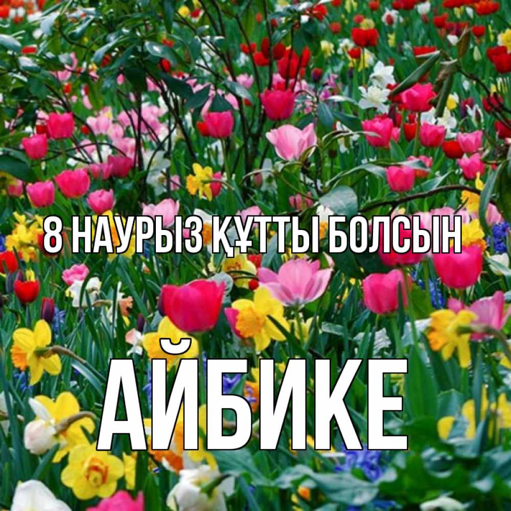 Күн сайын ашық хат с именем, АЙБИКЕ 8 наурыз құтты болсын с международным женским днем поздравления для женщины Онлайн тегін жүктеп алу тілектері бар керемет карта 