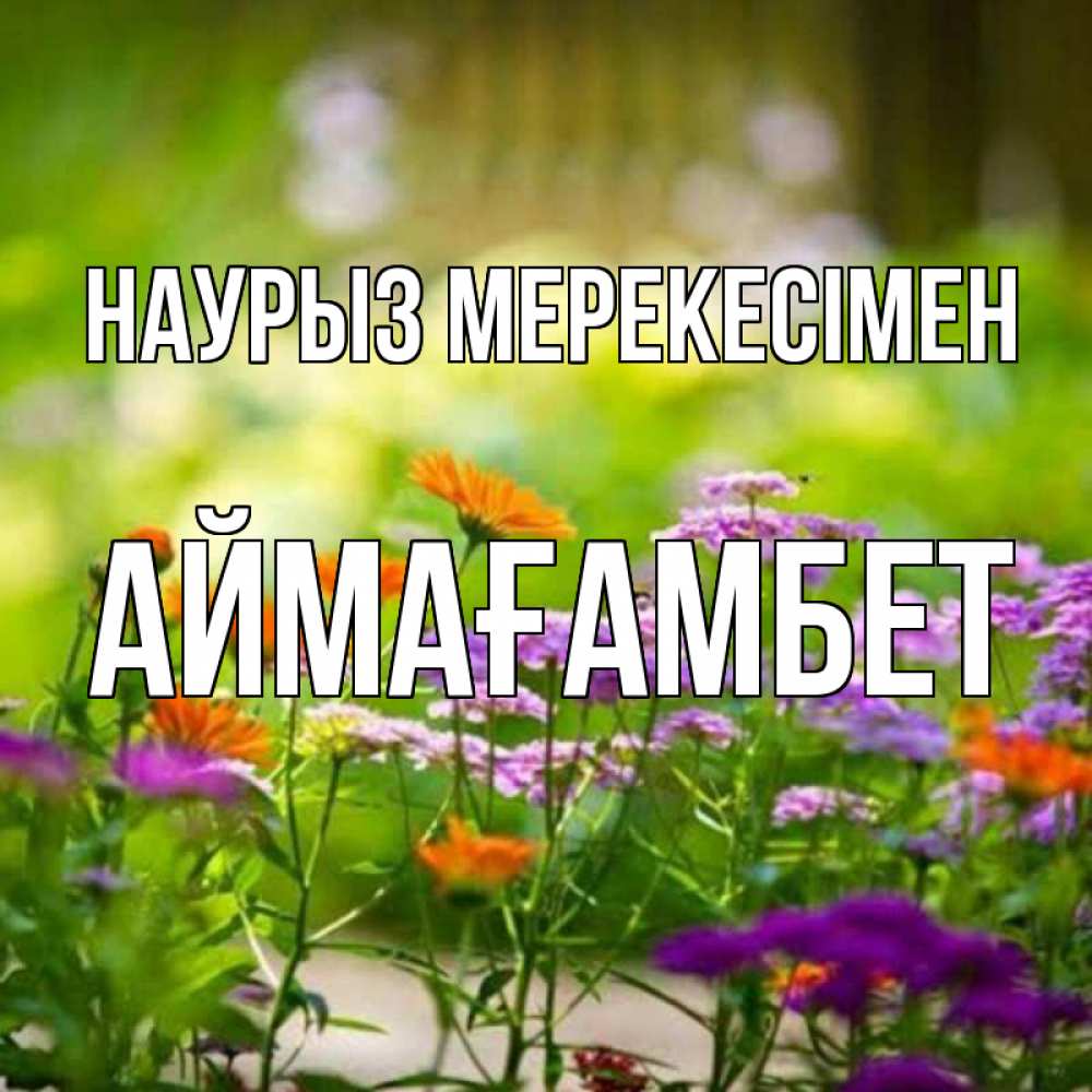 Күн сайын ашық хат с именем, Аймағамбет Наурыз мерекесімен цветы Онлайн тегін жүктеп алу тілектері бар керемет карта 