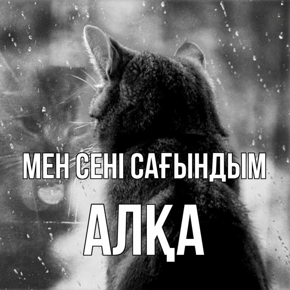 Күн сайын ашық хат с именем, Алқа Мен сені сағындым скорее ко мне приходи 1 Онлайн тегін жүктеп алу тілектері бар керемет карта 