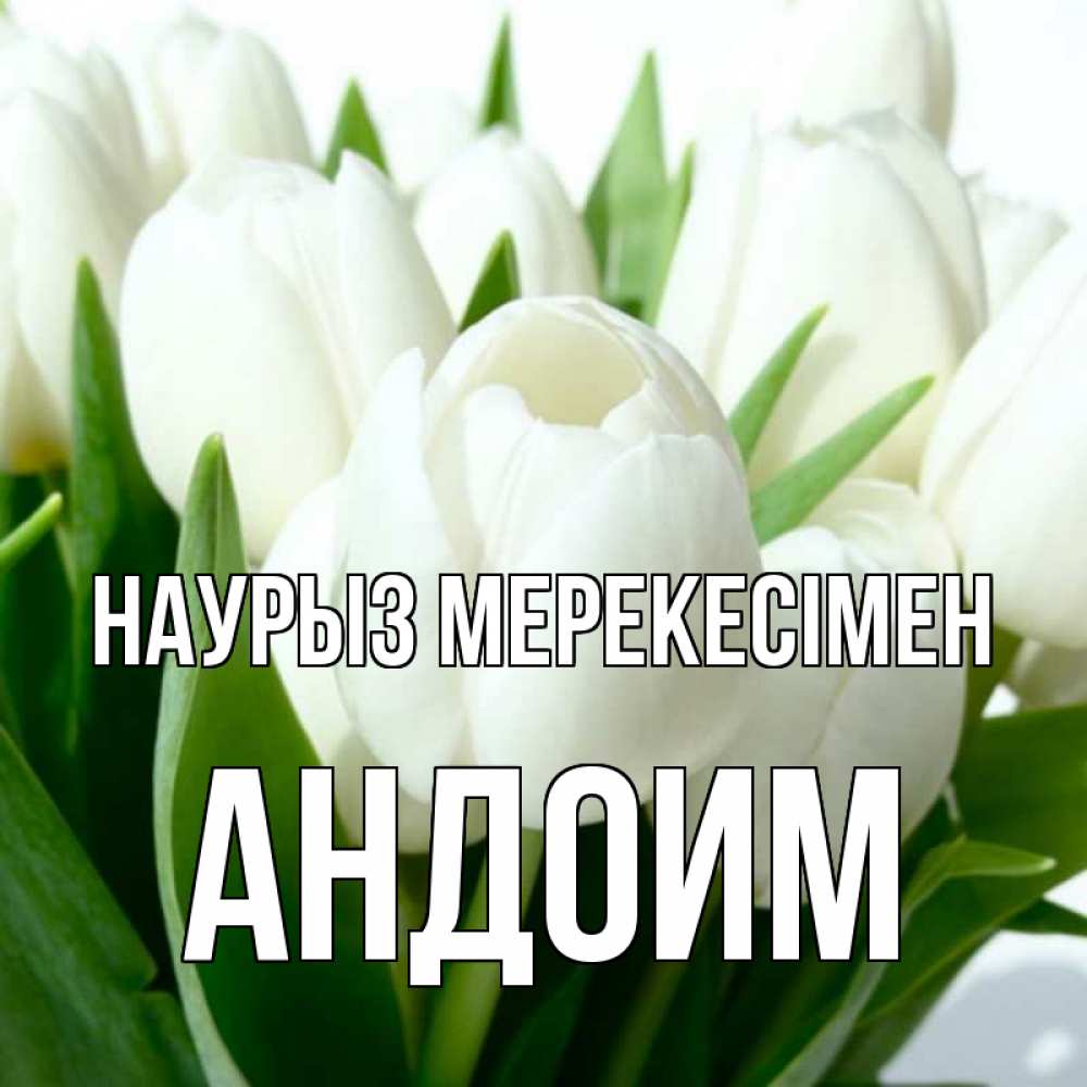 Күн сайын ашық хат с именем, Андоим Наурыз мерекесімен цветы Онлайн тегін жүктеп алу тілектері бар керемет карта 