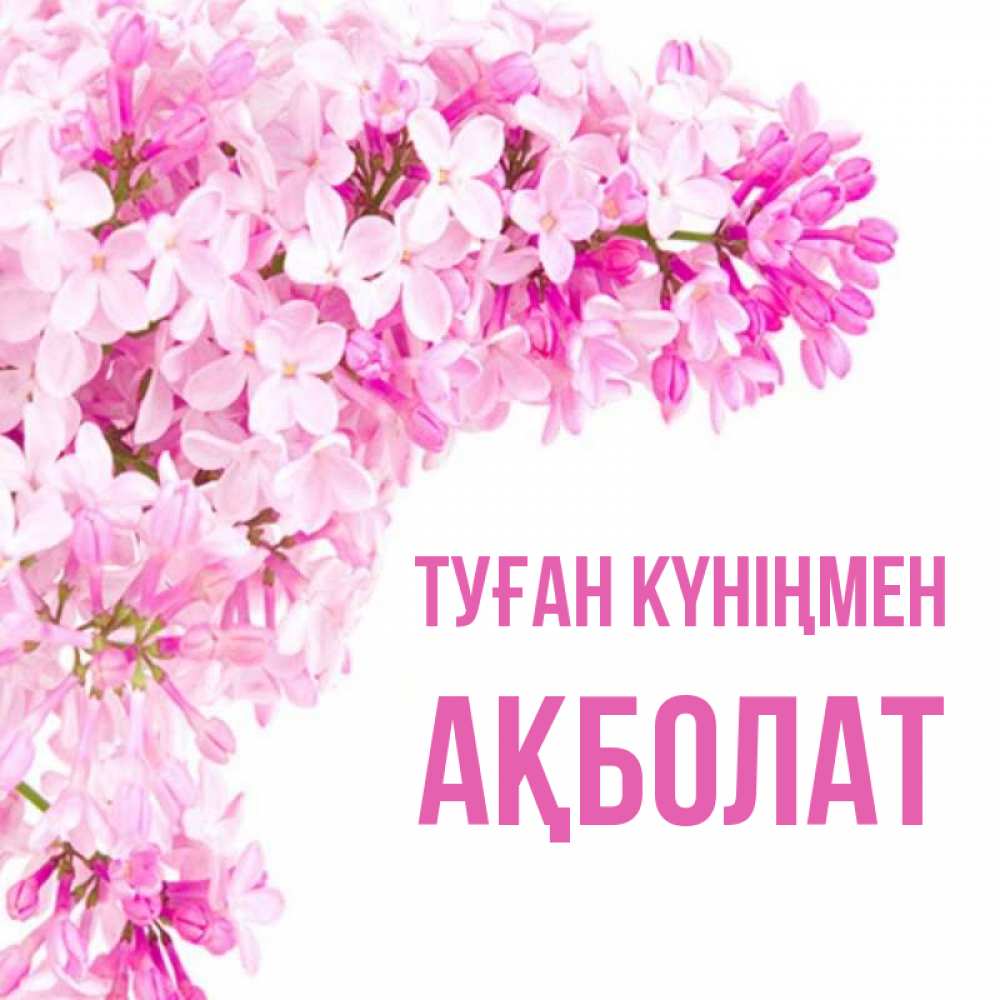 Күн сайын ашық хат с именем, Ақболат Туған күніңмен Сирень на белом фоне Онлайн тегін жүктеп алу тілектері бар керемет карта 