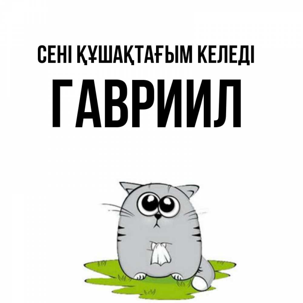 Күн сайын ашық хат с именем, Гавриил сені құшақтағым келеді котик теребит платочек сидя на травке Онлайн тегін жүктеп алу тілектері бар керемет карта 