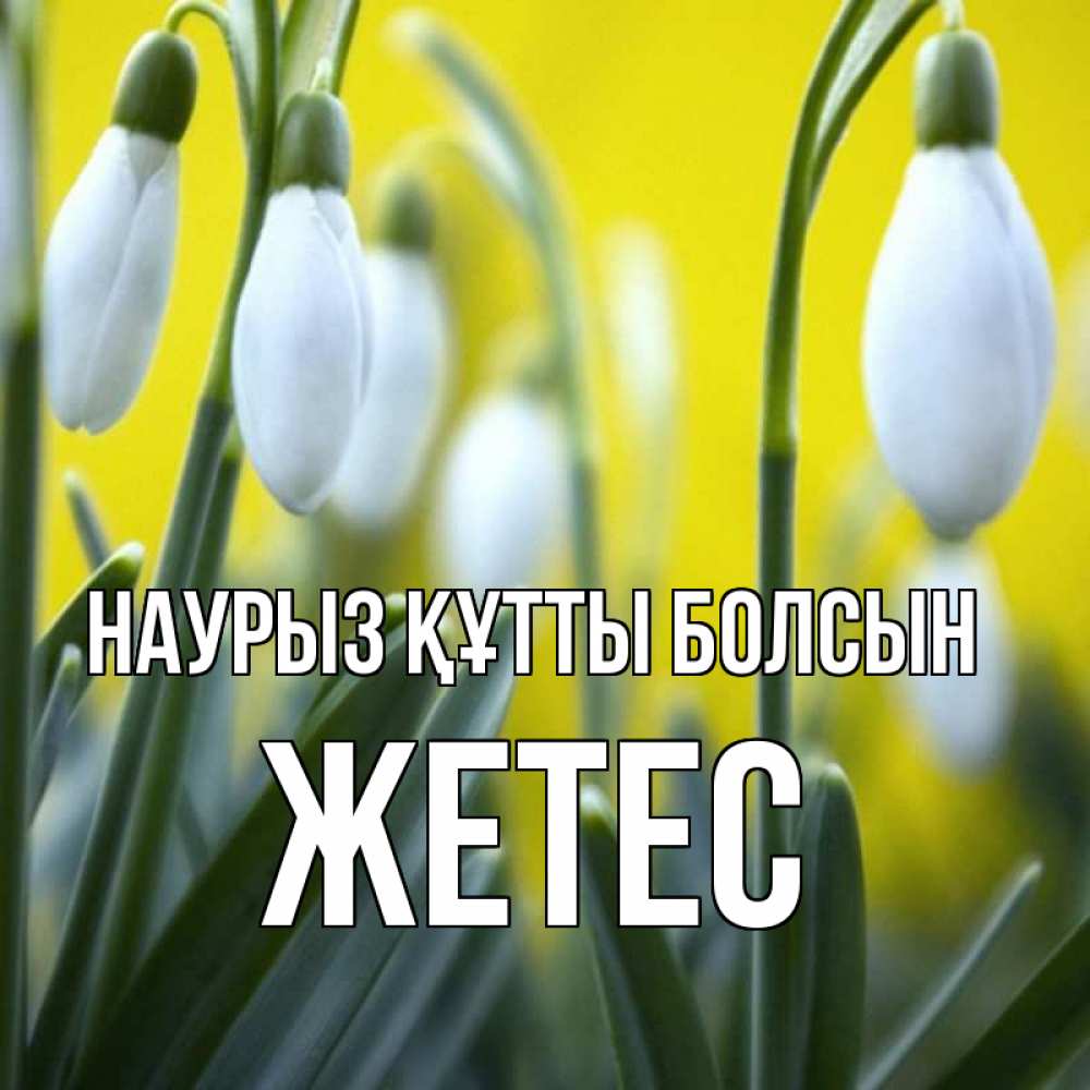 Күн сайын ашық хат с именем, Жетес Наурыз құтты болсын весенние цветы Онлайн тегін жүктеп алу тілектері бар керемет карта 