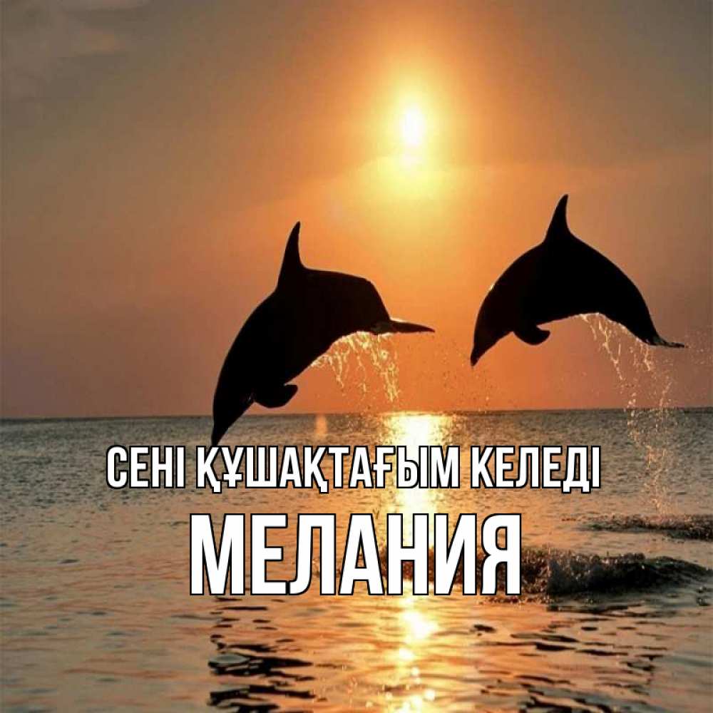 Күн сайын ашық хат с именем, Мелания сені құшақтағым келеді рыбы на закате Онлайн тегін жүктеп алу тілектері бар керемет карта 