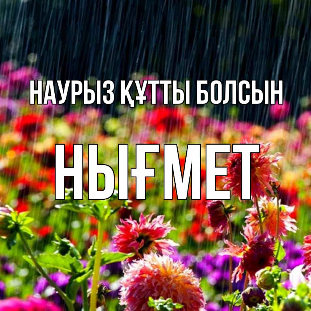 Күн сайын ашық хат с именем, НЫҒМЕТ Наурыз құтты болсын цветы под дождиком к наурызу Онлайн тегін жүктеп алу тілектері бар керемет карта 