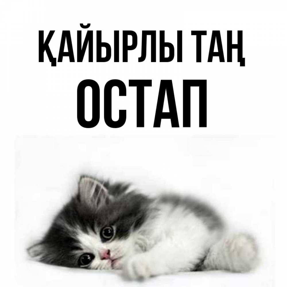 Күн сайын ашық хат с именем, Остап Қайырлы таң кот лапки Онлайн тегін жүктеп алу тілектері бар керемет карта 