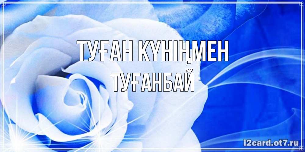 Күн сайын ашық хат с именем, ТУҒАНБАЙ Туған күніңмен белая роза на голубом фоне Онлайн тегін жүктеп алу тілектері бар керемет карта 
