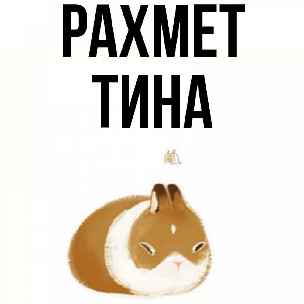 Күн сайын ашық хат с именем, Тина рахмет коричнево белый домашний питомец Онлайн тегін жүктеп алу тілектері бар керемет карта 