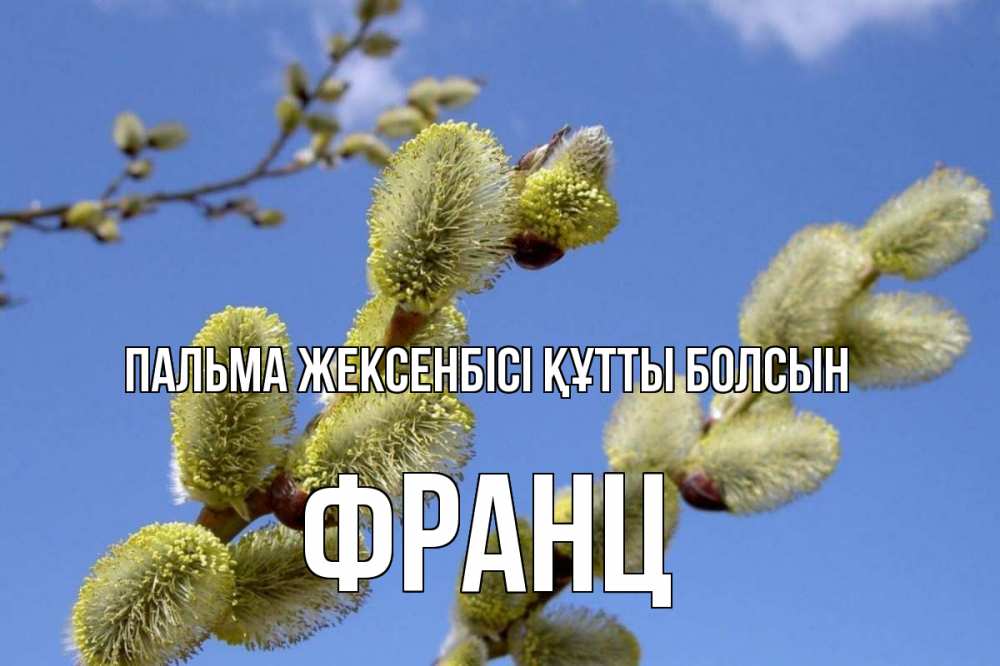 Күн сайын ашық хат с именем, Франц Пальма жексенбісі құтты болсын верба Онлайн тегін жүктеп алу тілектері бар керемет карта 