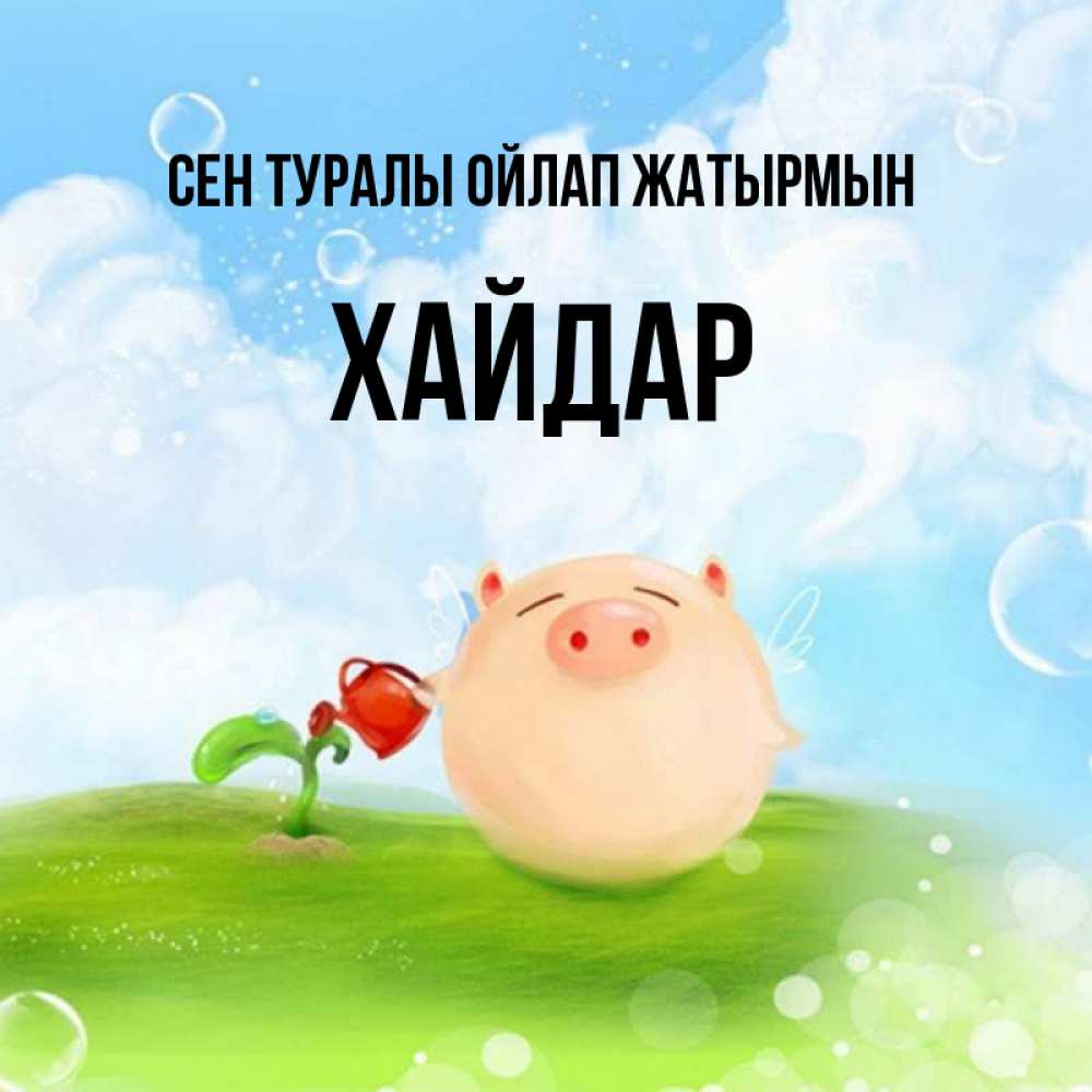 Күн сайын ашық хат с именем, ХАЙДАР Сен туралы ойлап жатырмын позитивная свинюшка Онлайн тегін жүктеп алу тілектері бар керемет карта 