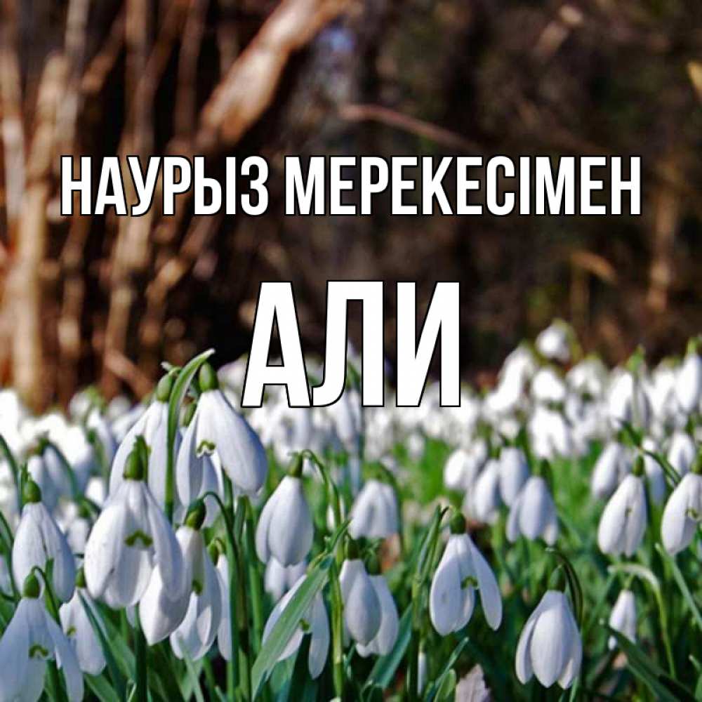 Күн сайын ашық хат с именем, Али Наурыз мерекесімен с подснежниками 1 Онлайн тегін жүктеп алу тілектері бар керемет карта 