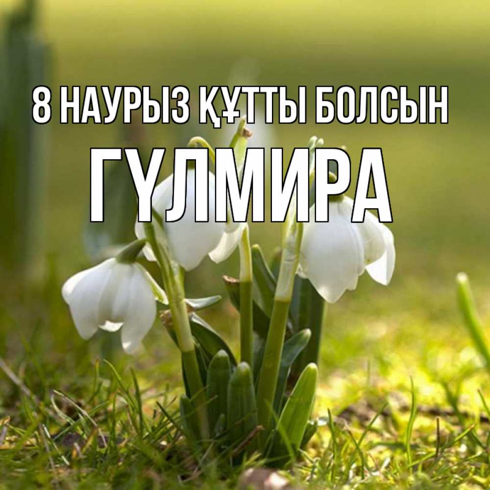 Күн сайын ашық хат с именем, ГҮЛМИРА 8 наурыз құтты болсын ранние цветы 2 Онлайн тегін жүктеп алу тілектері бар керемет карта 