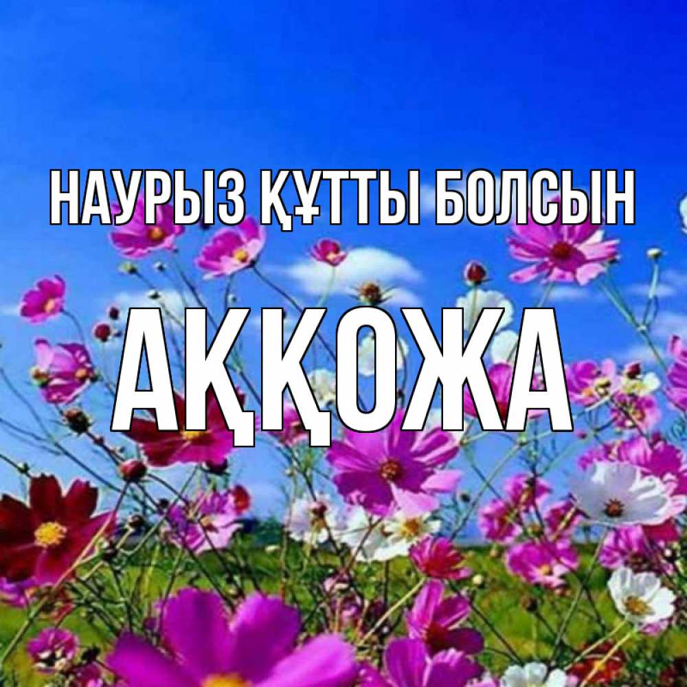 Күн сайын ашық хат с именем, Аққожа Наурыз құтты болсын цветы Онлайн тегін жүктеп алу тілектері бар керемет карта 