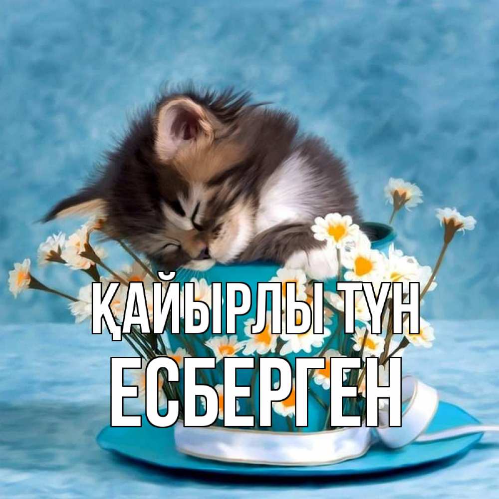 Күн сайын ашық хат с именем, Есберген Қайырлы түн котенок спит в кружке с блюдцем Онлайн тегін жүктеп алу тілектері бар керемет карта 