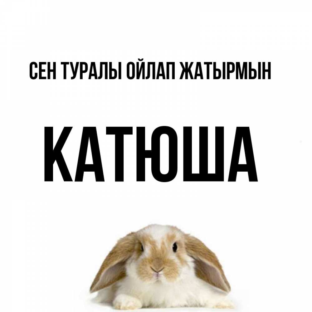 Күн сайын ашық хат с именем, Катюша Сен туралы ойлап жатырмын подписать своими руками онлайн Онлайн тегін жүктеп алу тілектері бар керемет карта 