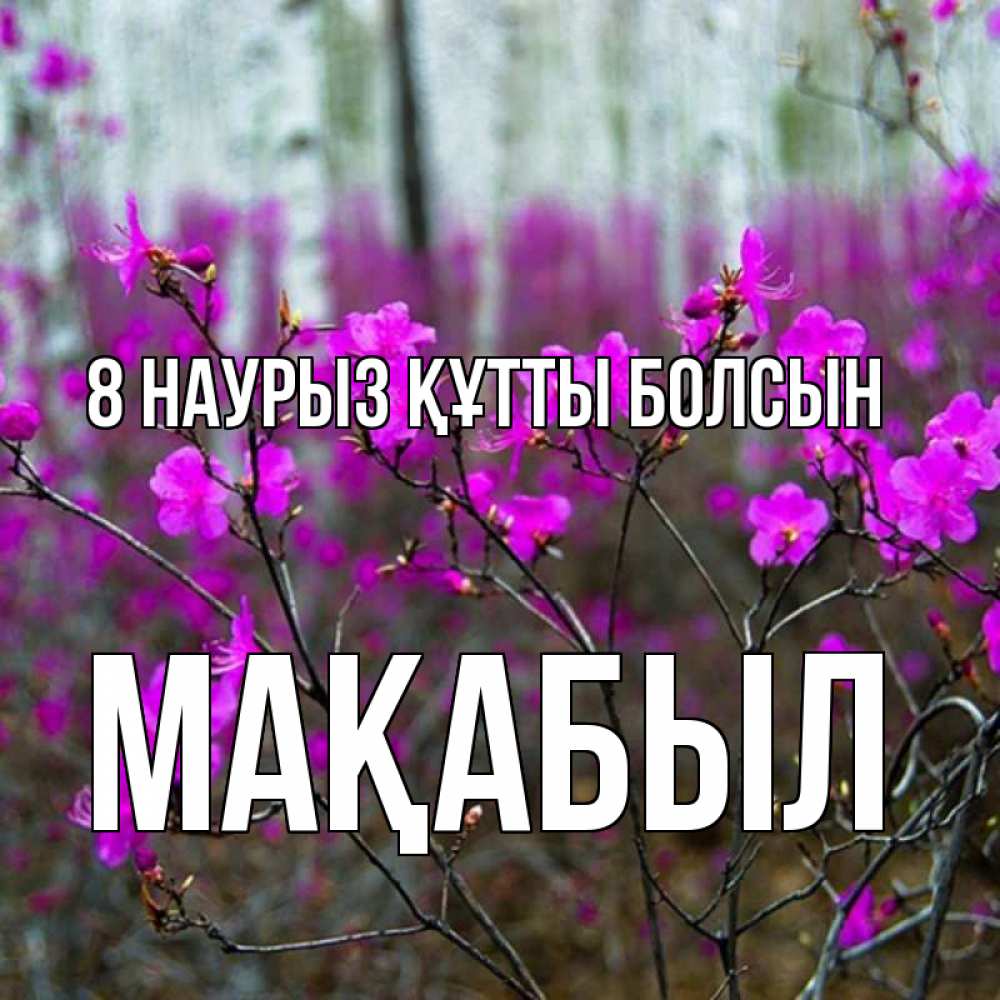 Күн сайын ашық хат с именем, МАҚАБЫЛ 8 наурыз құтты болсын дикие цветы Онлайн тегін жүктеп алу тілектері бар керемет карта 