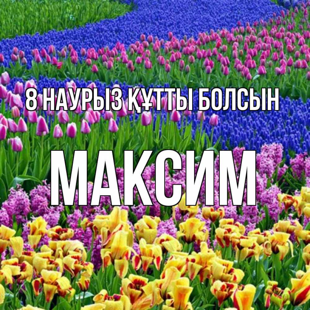 Күн сайын ашық хат с именем, Максим 8 наурыз құтты болсын цветы Онлайн тегін жүктеп алу тілектері бар керемет карта 