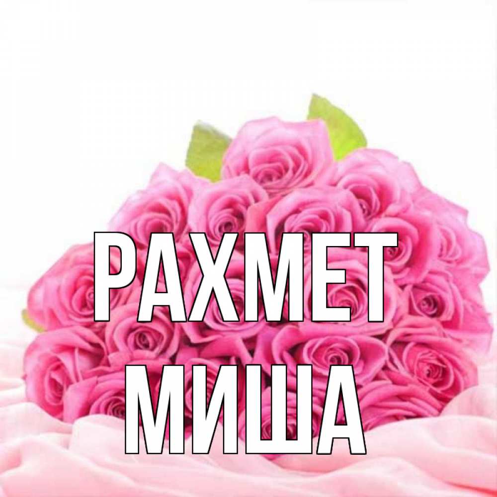 Күн сайын ашық хат с именем, Миша рахмет розовые розы с подписью Онлайн тегін жүктеп алу тілектері бар керемет карта 