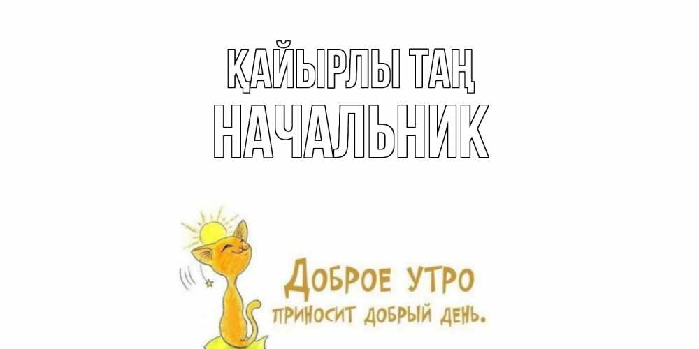 Күн сайын ашық хат с именем, Начальник Қайырлы таң кот, солнце Онлайн тегін жүктеп алу тілектері бар керемет карта 