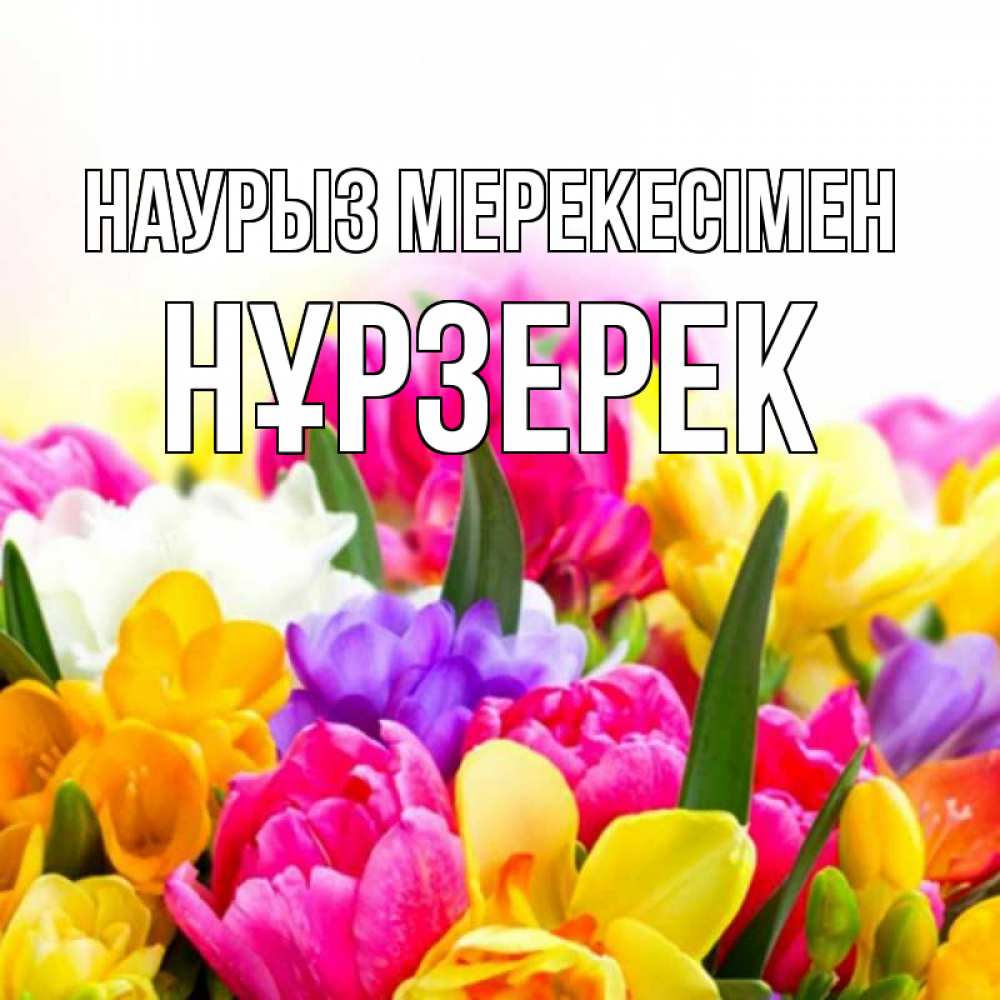 Күн сайын ашық хат с именем, НҰРЗЕРЕК Наурыз мерекесімен тюльпаны Онлайн тегін жүктеп алу тілектері бар керемет карта 
