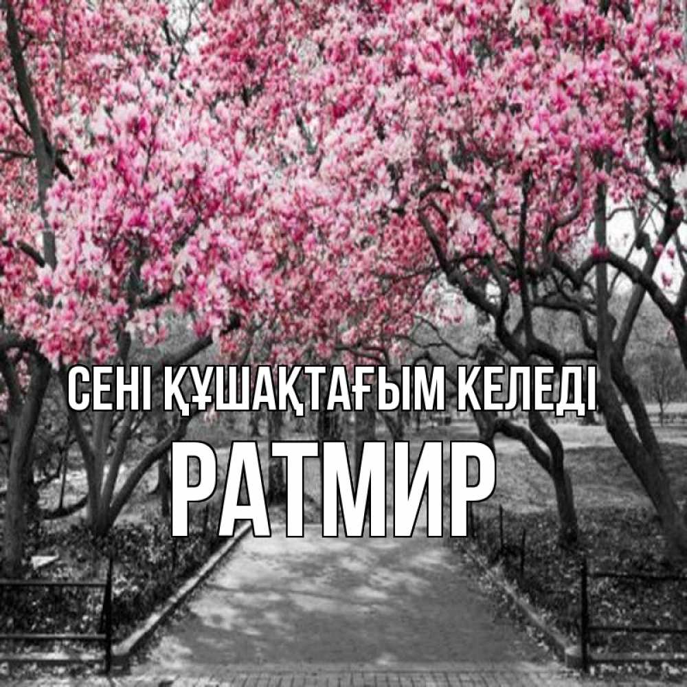 Күн сайын ашық хат с именем, Ратмир сені құшақтағым келеді обработанное фото Онлайн тегін жүктеп алу тілектері бар керемет карта 
