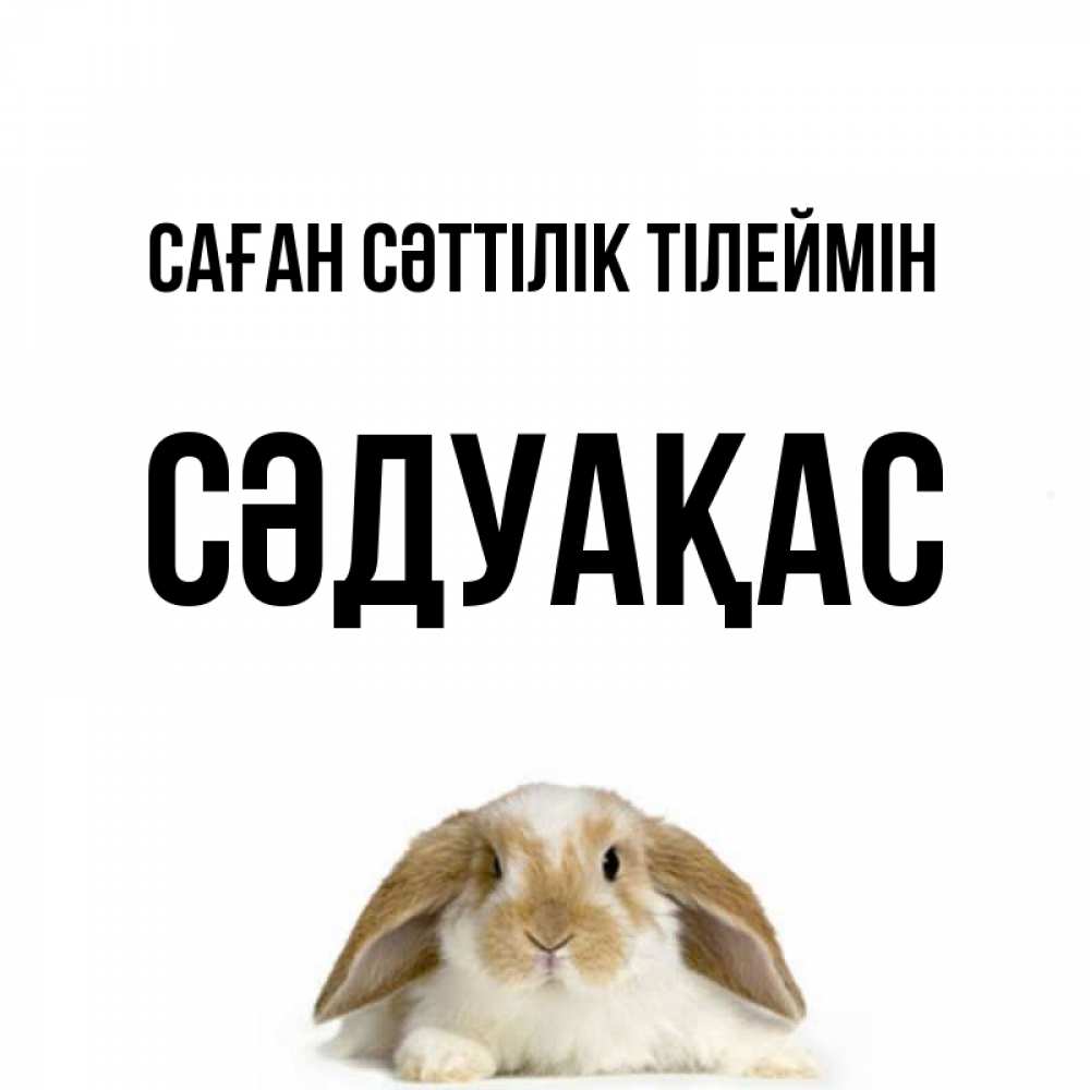 Күн сайын ашық хат с именем, СӘДУАҚАС Саған сәттілік тілеймін открытки с произвольным текстом который можно вставить в открытку и создать ее самостоятельно бесплатно онлайн Онлайн тегін жүктеп алу тілектері бар керемет карта 