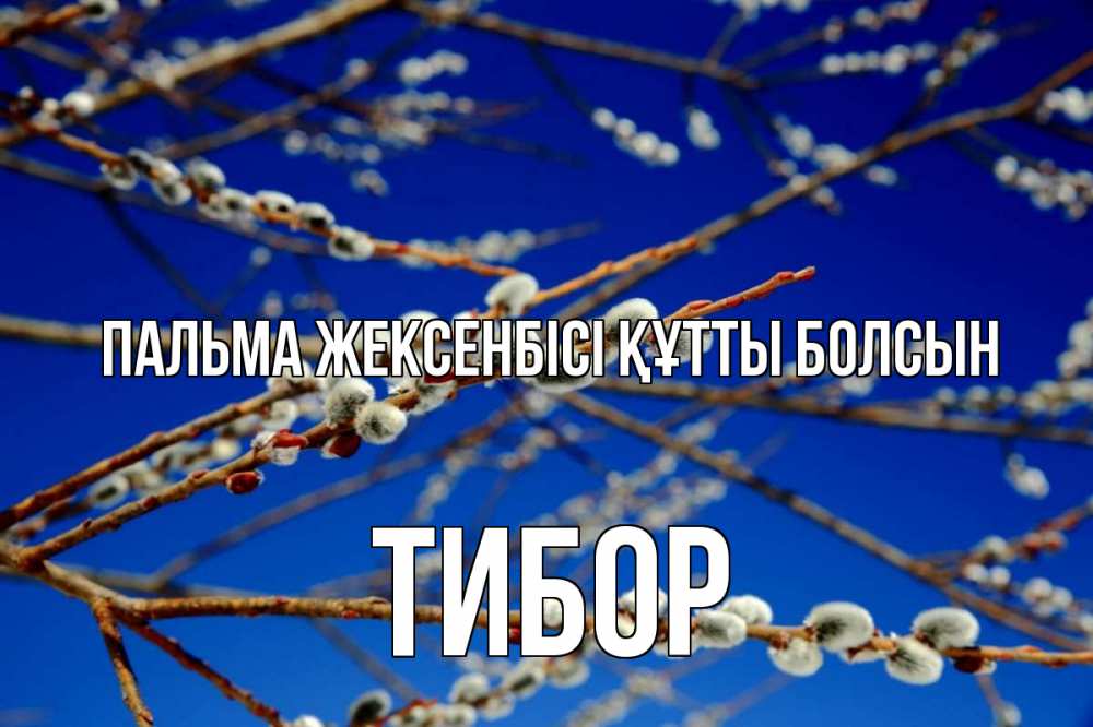 Күн сайын ашық хат с именем, Тибор Пальма жексенбісі құтты болсын верба Онлайн тегін жүктеп алу тілектері бар керемет карта 