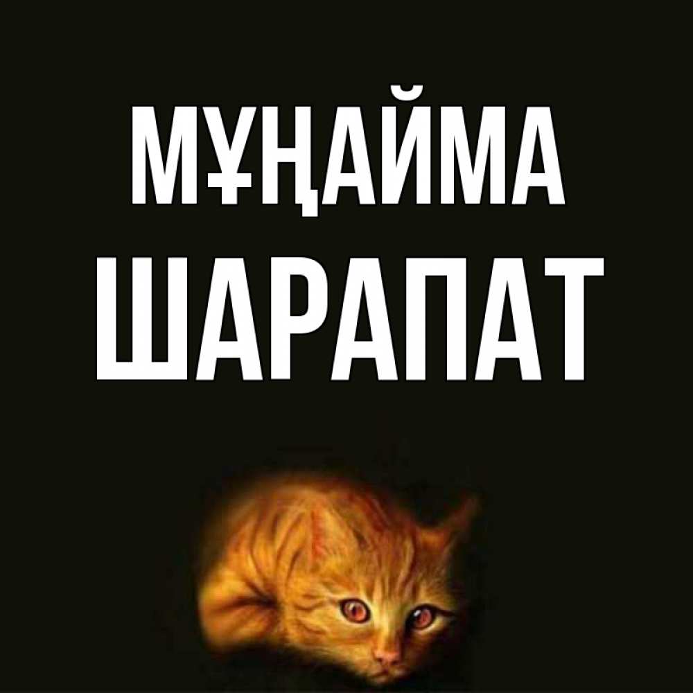 Күн сайын ашық хат с именем, ШАРАПАТ Мұңайма лежащий кот в темноте Онлайн тегін жүктеп алу тілектері бар керемет карта 