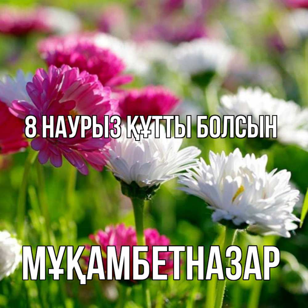Күн сайын ашық хат с именем, Мұқамбетназар 8 наурыз құтты болсын международный женский день 1 Онлайн тегін жүктеп алу тілектері бар керемет карта 