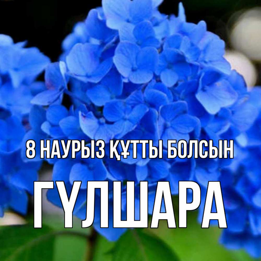 Күн сайын ашық хат с именем, ГҮЛШАРА 8 наурыз құтты болсын синие цветы Онлайн тегін жүктеп алу тілектері бар керемет карта 