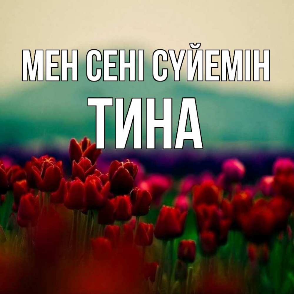 Күн сайын ашық хат с именем, Тина Мен сені сүйемін тюльпаны 4 Онлайн тегін жүктеп алу тілектері бар керемет карта 