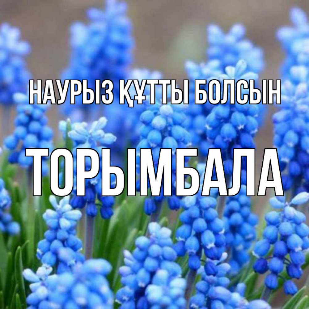 Күн сайын ашық хат с именем, ТОРЫМБАЛА Наурыз құтты болсын Поздравительная открытка для женщин с цветами на праздничную дату Онлайн тегін жүктеп алу тілектері бар керемет карта 