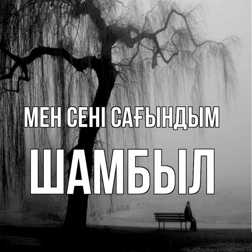 Күн сайын ашық хат с именем, ШАМБЫЛ Мен сені сағындым лавочка под деревом я жду тебя Онлайн тегін жүктеп алу тілектері бар керемет карта 