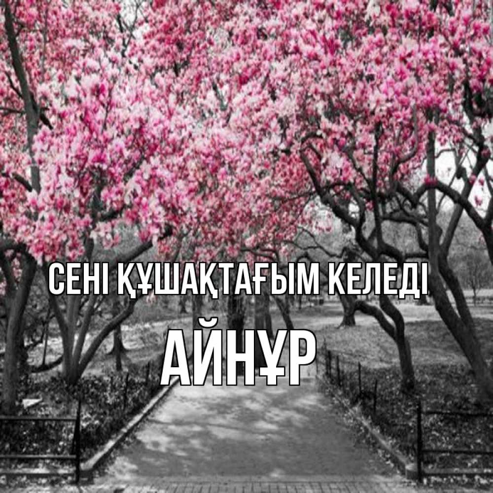 Күн сайын ашық хат с именем, АЙНҰР сені құшақтағым келеді обработанное фото Онлайн тегін жүктеп алу тілектері бар керемет карта 
