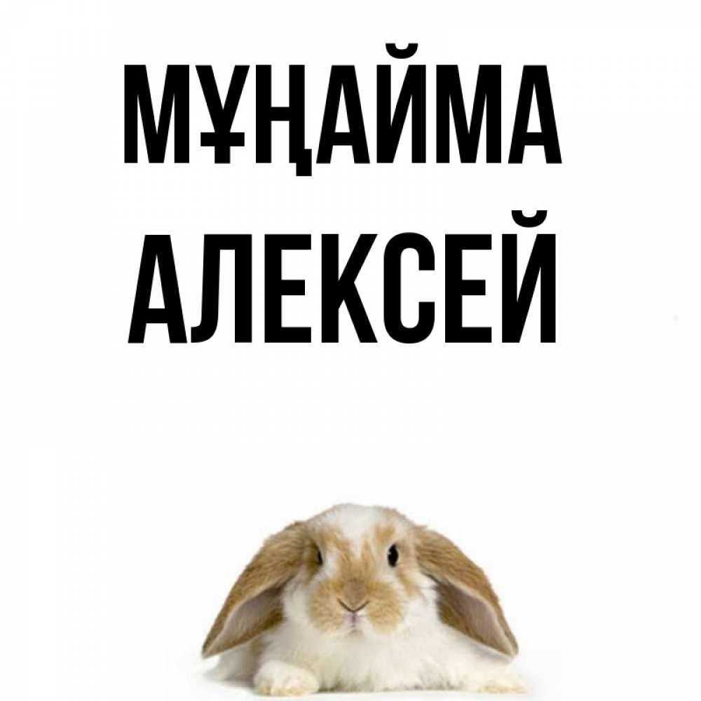Күн сайын ашық хат с именем, Алексей Мұңайма коричнево белый заяц с большими ушками Онлайн тегін жүктеп алу тілектері бар керемет карта 