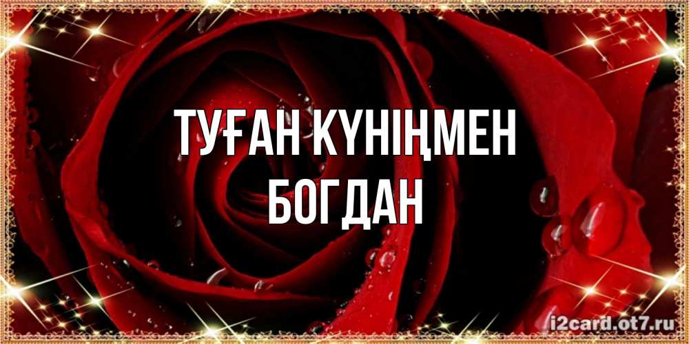 Күн сайын ашық хат с именем, Богдан Туған күніңмен цветок в росе на день рождения Онлайн тегін жүктеп алу тілектері бар керемет карта 