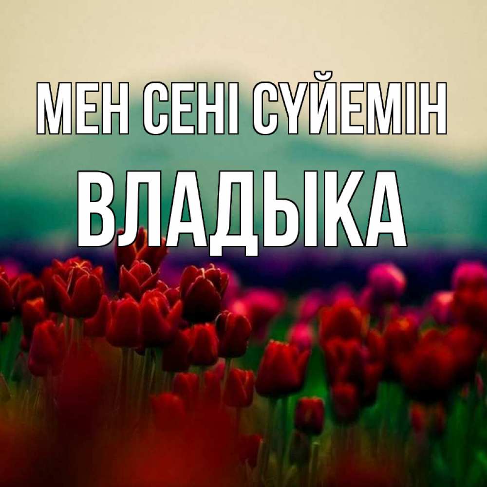 Күн сайын ашық хат с именем, Владыка Мен сені сүйемін тюльпаны 4 Онлайн тегін жүктеп алу тілектері бар керемет карта 