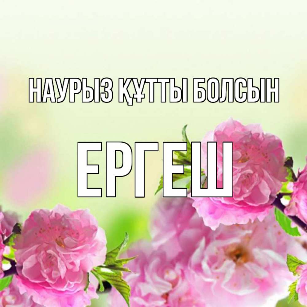 Күн сайын ашық хат с именем, Ергеш Наурыз құтты болсын цветы Онлайн тегін жүктеп алу тілектері бар керемет карта 